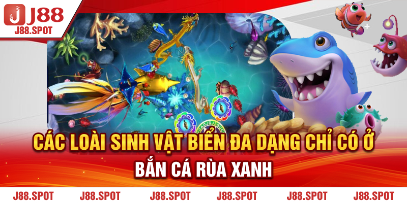 Các loài sinh vật biển đa dạng chỉ có ở Bắn Cá Rùa Xanh